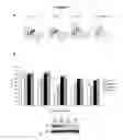 Fig. 02 - MODULATORS OF CELL CYCLE PROGRESSION