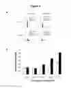Fig. 05 - MODULATORS OF CELL CYCLE PROGRESSION