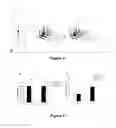 Fig. 06 - MODULATORS OF CELL CYCLE PROGRESSION