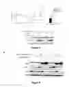 Fig. 07 - MODULATORS OF CELL CYCLE PROGRESSION