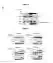 Fig. 08 - MODULATORS OF CELL CYCLE PROGRESSION