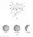Fig. 02 - Targeted Nanocarrier Systems for Delivery of Actives Across Biological Membranes