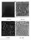 Fig. 17 - Brownian Microbarcodes for Bioassays