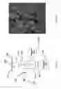 Fig. 35 - Brownian Microbarcodes for Bioassays