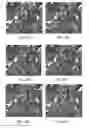 Fig. 37 - Brownian Microbarcodes for Bioassays