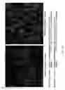 Fig. 38 - Brownian Microbarcodes for Bioassays