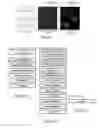 Fig. 40 - Brownian Microbarcodes for Bioassays