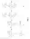 Fig. 04 - CHEMILUMINESCENT PROBES FOR MULTIPLEX MOLECULAR QUANTIFICATION AND USES THEREOF