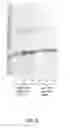 Fig. 08 - Method for producing therapeutic proteins in lacking dipeptidyl aminopeptidase activity