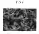 Fig. 09 - Abrasive for blast processing and blast processing method employing the same