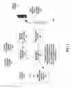 Fig. 02 - SMS payment system having chargeback to subscriber telephone account