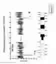 Fig. 07 - Comparative Genomic Hybridization Assays Using Immobilized Oligonucleotide Features and Compositions for Practicing the Same