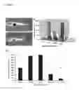 Fig. 03 - METHODS AND COMPOSITIONS FOR PROMOTING REGENERATION BY INCREASING INTRACELLULAR SODIUM CONCENTRATION
