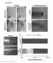 Fig. 06 - METHODS AND COMPOSITIONS FOR PROMOTING REGENERATION BY INCREASING INTRACELLULAR SODIUM CONCENTRATION