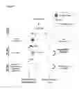 Fig. 08 - METHODS AND COMPOSITIONS FOR PROMOTING REGENERATION BY INCREASING INTRACELLULAR SODIUM CONCENTRATION