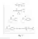 Fig. 02 - Methods for Treating Autoimmune Disorders, and Reagents Related Thereto