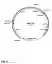 Fig. 14 - Method for producing proteins in that lack detectable cross binding activity to antibodies against host cell antigens