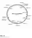 Fig. 25 - Method for producing proteins in that lack detectable cross binding activity to antibodies against host cell antigens