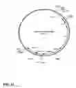 Fig. 27 - Method for producing proteins in that lack detectable cross binding activity to antibodies against host cell antigens