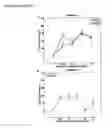 Fig. 24 - Compositions having antiangiogenic activity and uses thereof