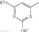 Fig. 05 - 5-fluorouracil derivative