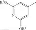 Fig. 06 - 5-fluorouracil derivative