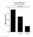 Fig. 04 - METHODS OF TREATING HYPERACIDIC DISORDERS