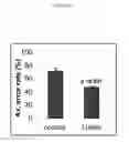 Fig. 06 - USE OF LUTEIN CONTAINING COMPOSITIONS TO IMPROVE CERTAIN ASPECTS OF MEMORY