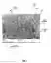 Fig. 04 - Surface free energy based filled polymer microporous films