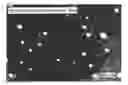 Fig. 01 - RUBBER COMPOSITION AND PNEUMATIC TIRE
