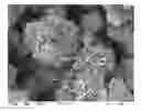 Fig. 01 - Composites of inorganic microparticles having a phosphated surface and alkaline earth carbonate nanoparticles