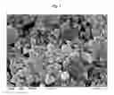 Fig. 06 - Composites of inorganic microparticles having a phosphated surface and alkaline earth carbonate nanoparticles