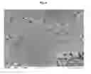 Fig. 07 - Composites of inorganic microparticles having a phosphated surface and alkaline earth carbonate nanoparticles