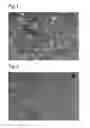 Fig. 02 - Rubber composition for pneumatic tire