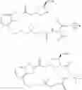 Fig. 77 - Processes for preparing protease inhibitors of hepatitis C virus