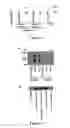Fig. 11 - Method of modulating integrin mediated cellular activity and agents useful for same