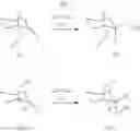 Fig. 20 - Process for producing 1,2-trans-glycoside compound