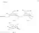 Fig. 46 - Process for producing 1,2-trans-glycoside compound