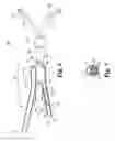 Fig. 06 - Multi-split-tipped catheter