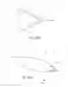Fig. 38 - MINIMALLY INVASIVE TISSUE SUPPORT
