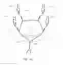 Fig. 69 - MINIMALLY INVASIVE TISSUE SUPPORT