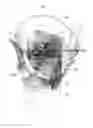 Fig. 01 - DETERMINING A PLANE OF AN ANATOMICAL BODY PART