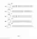 Fig. 08 - EFFICIENT PROCESSING OF BULK QUERIES TO DETERMINE THE AVAILABILITY OF RESOURCES