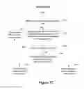 Fig. 12 - Systems and Methods for Processing Inoperative Document Links