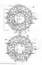 Fig. 02 - Tension-based non-pneumatic tire