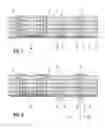 Fig. 02 - Method for producing a ceramic component, ceramic component and component assembly