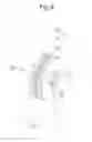 Fig. 07 - DENTAL FLOSS CASING