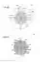 Fig. 07 - Multiple level showerhead design