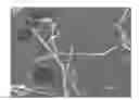 Fig. 01 - POLYIMIDE RESINS FOR HIGH TEMPERATURE WEAR APPLICATIONS