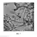 Fig. 07 - POLYIMIDE RESINS FOR HIGH TEMPERATURE WEAR APPLICATIONS